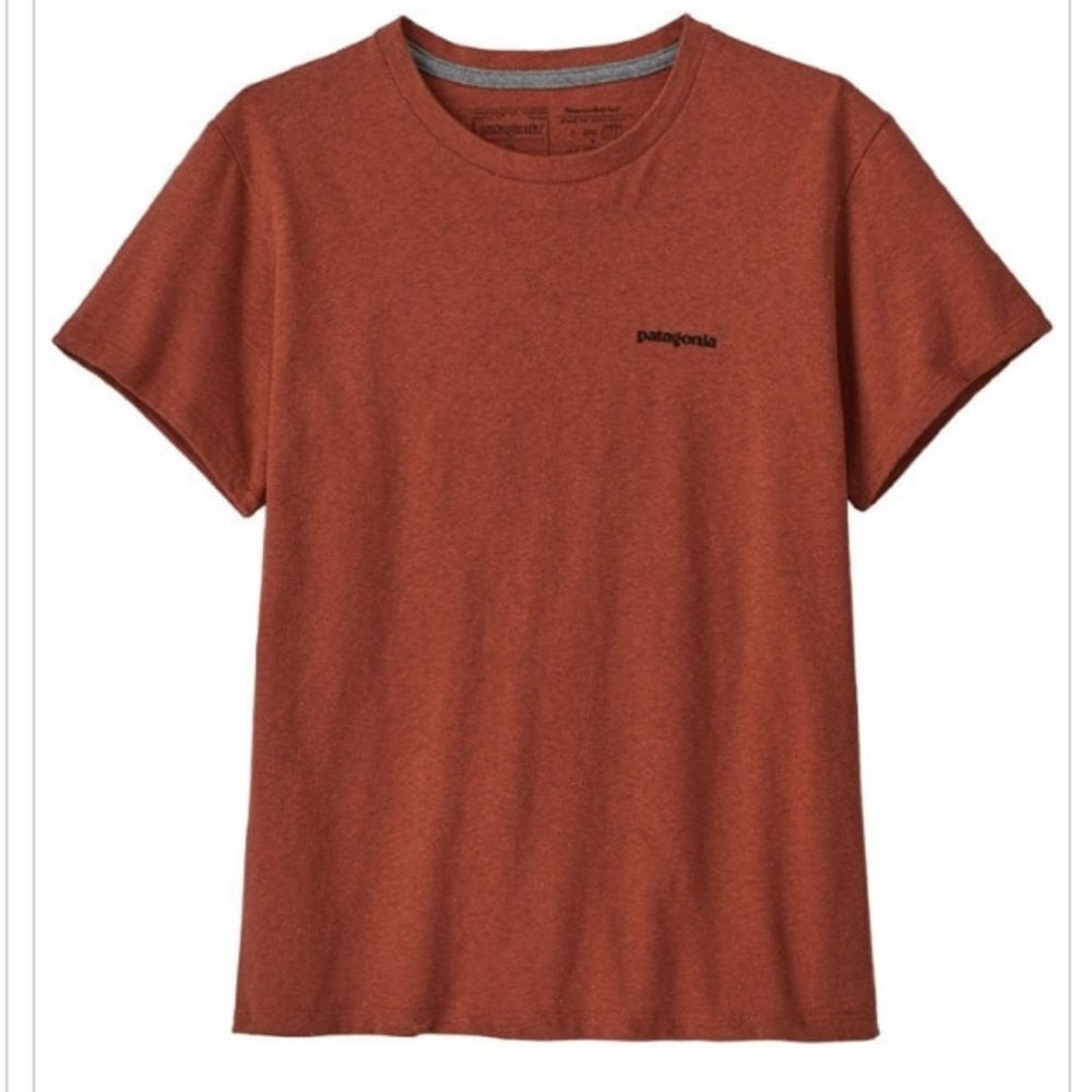 Patagonia Responsibili Tee
